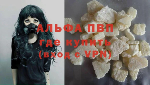 шишки Кукмор